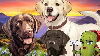 3 Labradors playing together is the ultimate joy fest [upl. by Anaitsirhc]