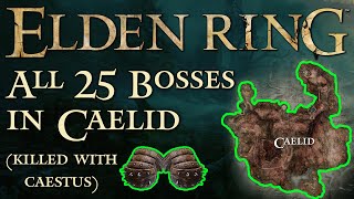 Elden Ring  All 25 Bosses in Caelid with locations killed with caestus [upl. by Maryn265]