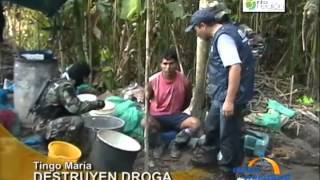 Capturan a dos narcotraficantes en plena fabricación de droga en Tingo María [upl. by Terry]