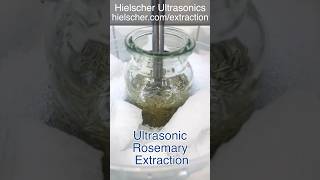 IceCold Rosemary Extraction with the Hielscher UP200HT Sonicator [upl. by Ettenyl920]