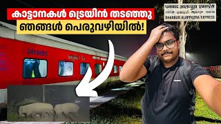 കാട്ടാനകൾ 12 മണിക്കൂർ വഴിമുടക്കി 😑  Dhanbad  Alappuzha Express Full Journey Part 1 [upl. by Irahc104]