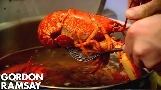 Cooking Lobster with Jeremy Clarkson  Gordon Ramsay [upl. by Shaina]