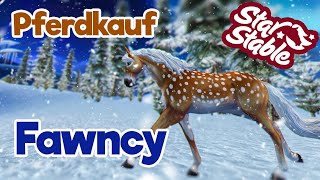 PFERDEKAUF FAWNCY 🐴 Star Stable SSO ⭐Let´s Play DEUTSCH [upl. by Rihat]