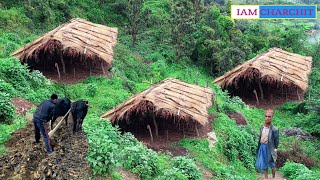 Naturally Himalayan Pastoral people living life into the RainfallBeautiful Nepali Village Lifestyle [upl. by Tal365]