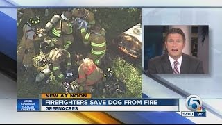 Firefighters treat dog after Greenacres house fire [upl. by Arlo]