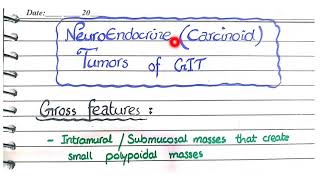 Neuroendocrine Tumors Of GIT  Morphology [upl. by Manoop802]