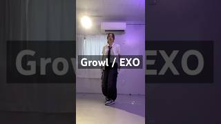 Growl🧢💫 exo 엑소 growl 으르렁 kpop cover dance fyp [upl. by Sommers417]