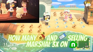 Selling Marshal 3x on Nookazon  Animal Crossing New Horizons [upl. by Carny]