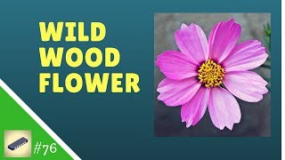 Lesson 76 HARMONICA C  Wildwood Flower  Easy Tabs [upl. by Eaned78]