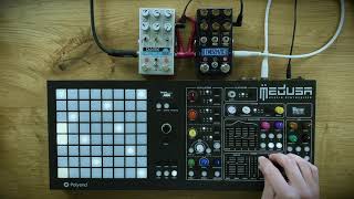 Polyend Instruments Ensemble Medusa Seq Preset Poly2 [upl. by Iohk]