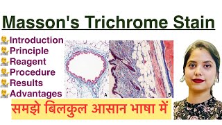 Mason’s Trichrome Stain in Hindi  Histology stain  MLT [upl. by Annodas]