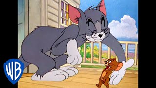 Tom und Jerry auf Deutsch  Oh mein Kumpel  WB Kids [upl. by Gnidleif]