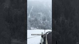 Snowfalls in Zentral Switzerland 🇨🇭 2024 nature mountains snow schweiz swiss swissalps [upl. by Arraic863]