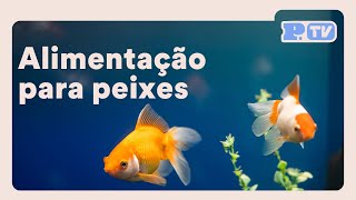 Petz – Dicas de Alimentação e ração para peixe [upl. by Frasier]