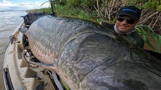 GIGANTE COBRIU O CAIAQUE MESMO VENDO NÃO DA PRA ACREDITAR Pirarucu do Rio Madeira [upl. by Llerdnad]