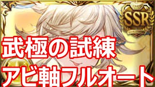 武極の試練フルオート アビダメ軸マナダイバー編成【GBF】【グラブル】 [upl. by Niwrud]