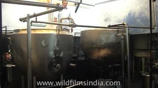 Ghee production plant in India [upl. by Bobbie454]