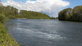 ⚠ Swimming In the Skagit River is Dangerous ⚠ [upl. by Drahcir]