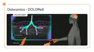 Doloromics Revolutionizing Chronic Pain Treatment  2D animation [upl. by Matthaus]