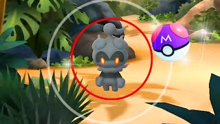 🤯 Gofest 2024 unreleased mythical MARSHADOW [upl. by Colwin]