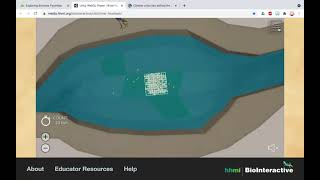 Exploring Biomass Pyramids Interactive [upl. by Lura]