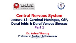 Lecture 13  Cerebral Meninges CSF Dural folds amp Dural Venous Sinuses Part 1  CNS [upl. by Iv]