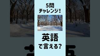 【これ全部英語で言える？】5問英会話｜寒い冬16～20 MimiListening 英語リスニング 英語聞き流し [upl. by Riccio160]