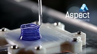 Aspect Biosystems The Bioprinting Process [upl. by Negroj816]