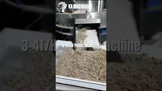 34Th heavy duty biomass pellet machine for waste wood sawdust bagasse rice straw paddy pelletmill [upl. by Wilinski251]