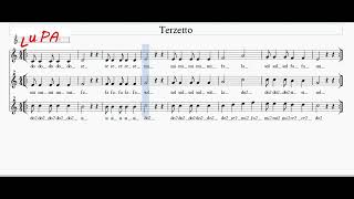 Terzetto  Flauto dolce  Note Spartito  Karaoke  Instrumental  Canto [upl. by Amr65]