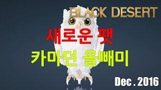 검은사막 ㅣBlack Desert  Pearl Shop New pet Dec 2016 KR [upl. by Nema758]