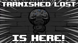 Tarnished Lost Is Extremely Hard [upl. by Ibson]