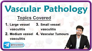 🩸🛤️ Vascular Pathology  Part 1   Vasculitis amp Atherosclerosis🔬 Pathology Chapter  4 [upl. by Gyimah]