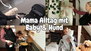 Mein Mama Alltag mit Baby amp Hund  Wickeltisch organisieren  Impftermin Kinderarzt [upl. by Kenrick]