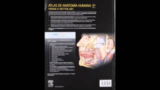 Netter Atlas de Anatomia Humana 5 edicion quinta [upl. by Riddle]