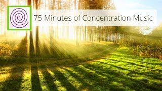 75 Minutes of Concentration Music  for learning reading writing meditation [upl. by Nylasor]