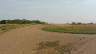 Killdeer Saskatchewan [upl. by Erida]