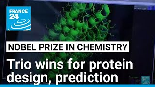 Trio wins chemistry Nobel for protein design prediction • FRANCE 24 English [upl. by Alcine]