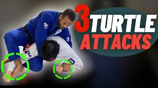 3 Ways to Finish From Turtle Position  Every White Belt MUST Know [upl. by Enelym]