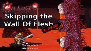 Skipping the Wall Of Flesh in Terraria Calamity Mod In Theory [upl. by Licastro]