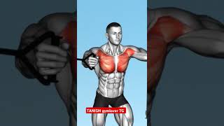 🤬😱 upper chest all exercises tips motivation💪♥️ tanish gymlover TG 🏋️‍♂️💯😈youtubeshorts [upl. by Eilram]