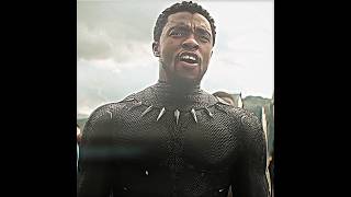 Black Panther ⚫🐆  All the Stars  blackpanther chadwickboseman marvel chadwickbosemantribute [upl. by Belcher]