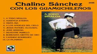 Chalino Sánchez  Borradita Diente de Oro [upl. by Schlesinger]