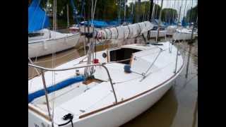 Velero J 24 en venta  Campo Embarcaciones [upl. by Akihsal447]