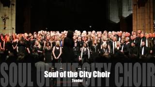 Tender  Blur  Cover by Soul of the City Choir Brighton and Hassocks [upl. by Anirdnaxela]