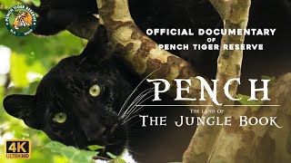 Pench  The Land Of The Jungle Book  Official Documentary  4K [upl. by Eifos975]