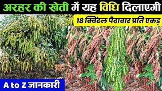 Arhar Ki Kheti अरहर की खेती 2024 Tuvar Ki Kheti Kaise karen Pigeon Pea राहर की खेती [upl. by Kenleigh]