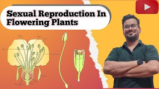 Sexual Reproduction In Flowering Plants part1neet2025 biologyncert Final Biology Classes [upl. by Dedric691]