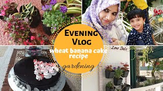 Evening VlogWheat banana cake recipeGardening [upl. by Urissa]