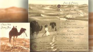 Muslimgauze ‎– Observe With Sadiq Bey 1999 FULL ALBUM [upl. by Cowley]